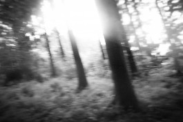 JOHANNA BESSELING / digital artist