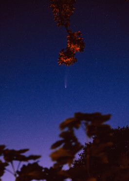 JOHANNA BESSELING / digital artist