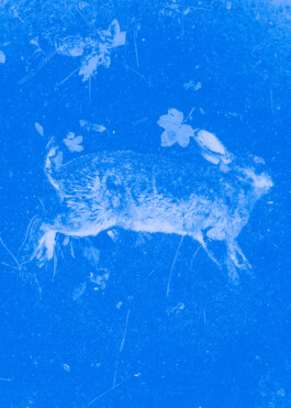 JOHANNA BESSELING / digital artist