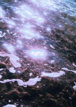 JOHANNA BESSELING / digital artist