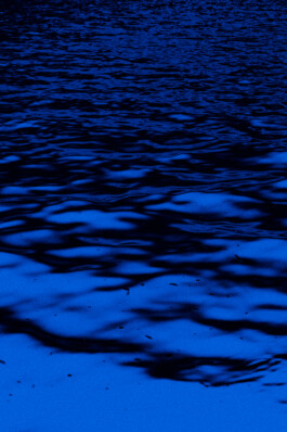 JOHANNA BESSELING / digital artist