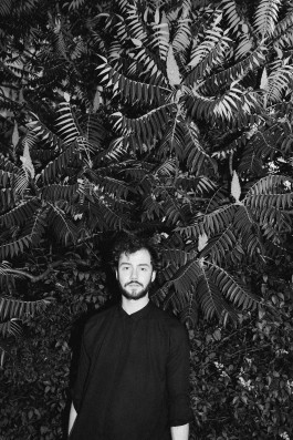 JOHANNA BESSELING / digital artist