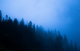 JOHANNA BESSELING / digital artist