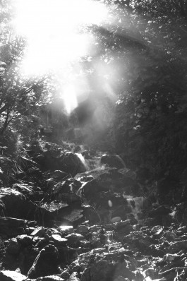 JOHANNA BESSELING / digital artist