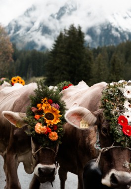 JOHANNA BESSELING / digital artist