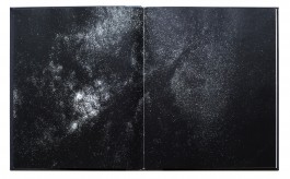 JOHANNA BESSELING / digital artist