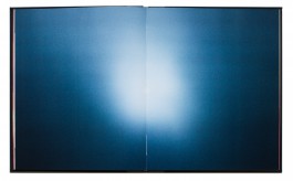 JOHANNA BESSELING / digital artist