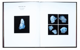 JOHANNA BESSELING / digital artist