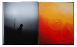 JOHANNA BESSELING / digital artist