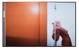 JOHANNA BESSELING / digital artist