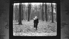 JOHANNA BESSELING / digital artist