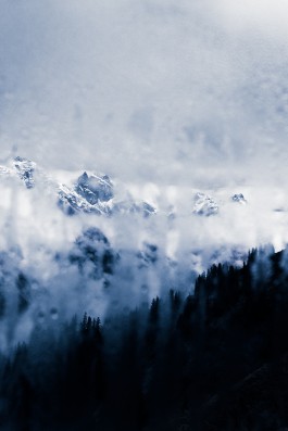 JOHANNA BESSELING / digital artist