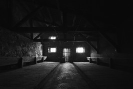 JOHANNA BESSELING / digital artist