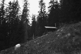 JOHANNA BESSELING / digital artist