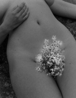 JOHANNA BESSELING / digital artist