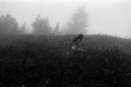 JOHANNA BESSELING / digital artist