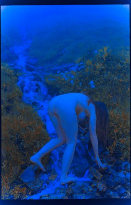 JOHANNA BESSELING / digital artist