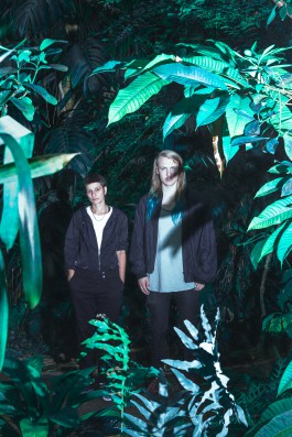 JOHANNA BESSELING / digital artist