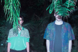 JOHANNA BESSELING / digital artist