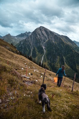 JOHANNA BESSELING / digital artist