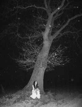 JOHANNA BESSELING / digital artist