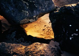 JOHANNA BESSELING / digital artist