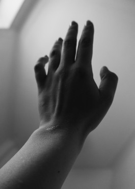 JOHANNA BESSELING / digital artist