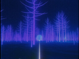 JOHANNA BESSELING / digital artist