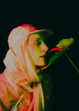 JOHANNA BESSELING / digital artist