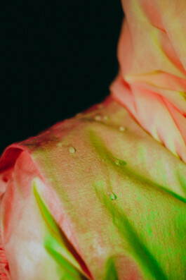 JOHANNA BESSELING / digital artist