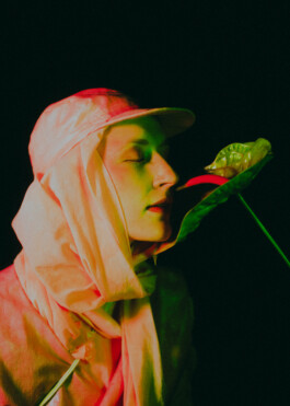 JOHANNA BESSELING / digital artist