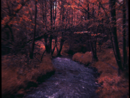 JOHANNA BESSELING / digital artist