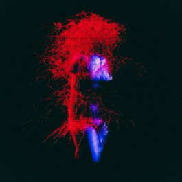 JOHANNA BESSELING / digital artist