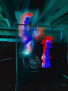 JOHANNA BESSELING / digital artist