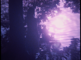 JOHANNA BESSELING / digital artist