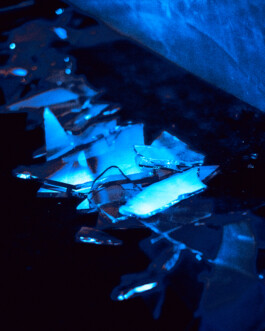 JOHANNA BESSELING / digital artist