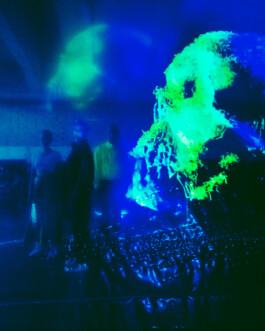 JOHANNA BESSELING / digital artist