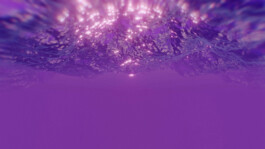 JOHANNA BESSELING / digital artist