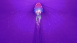 JOHANNA BESSELING / digital artist