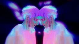 JOHANNA BESSELING / digital artist