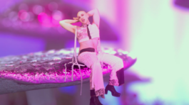 JOHANNA BESSELING / digital artist