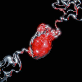 JOHANNA BESSELING / digital artist