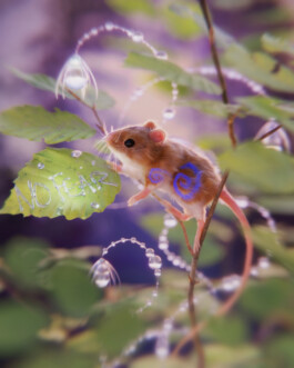 JOHANNA BESSELING / digital artist