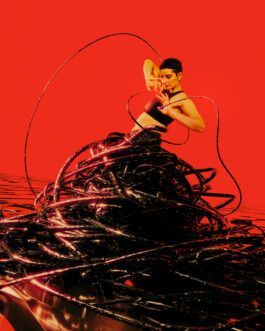 JOHANNA BESSELING / digital artist