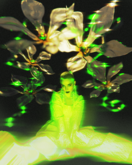 JOHANNA BESSELING / digital artist