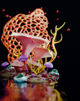 JOHANNA BESSELING / digital artist