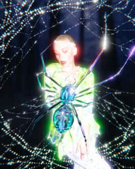 JOHANNA BESSELING / digital artist