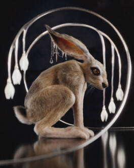 JOHANNA BESSELING / digital artist