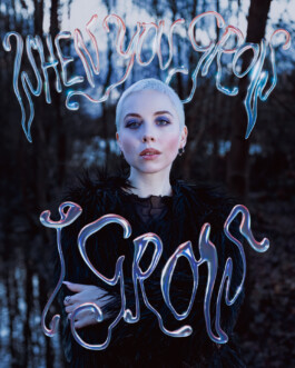 JOHANNA BESSELING / digital artist